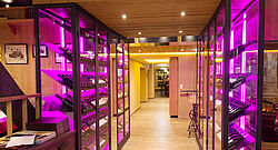 Landhotel Stockerwirt Vinothek Landhotel Stockerwirt Vinothek