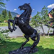 herzlich-willkommen-im-reiterhotel-landhotel-strasserwirt 