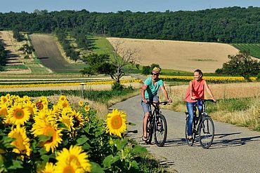 NTG/steve.haider.com  Radfahren  