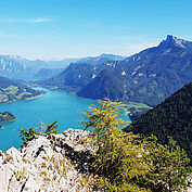 © TVB MondSeeLand - Ausblick von Drachenwand auf Schafberg und dem Mondsee 