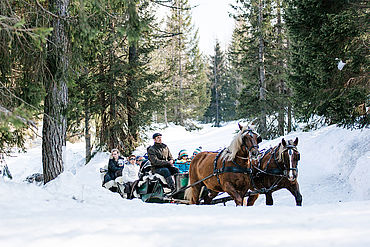 Kutschenfahrt, (c) Andreas Schuller