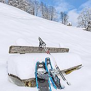 Schneeschuhwandern im Salzkammergut - © Landhotel Das Traunsee
