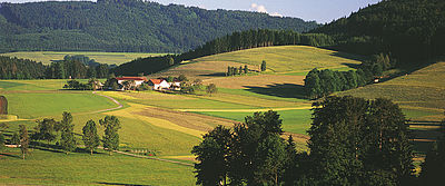 Seminars in the Countryside