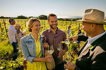 Weinbau, (c) Neusiedler See Tourismus / Dieter Steinbach