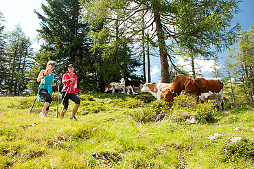 Wandern auf der Postalm, ©TVB Abtenau 