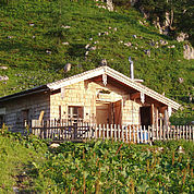 © Landhotel Traunstein - hauseigene Wandalm direkt am Tennengebirge mit Uebernachtungsmoeglichkeit