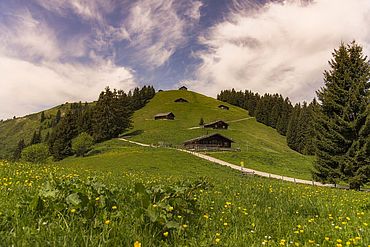 Saalachtal in Salzburg © Salzburger Saalachtal Tourismus