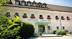 Hotelansicht LANDHOTEL Forsthof Hotelansicht LANDHOTEL Forsthof