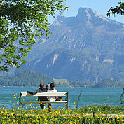 © TVB MondSeeLand - Blick auf den See und Schafberg vom Almeidapark 