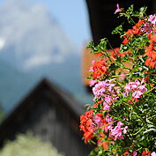 Im Einklang mit der Natur im Landhotel Gressenbauer 