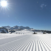 © Salzburger Saalachtal - Unberührte Skipisten in der Wintersonne  