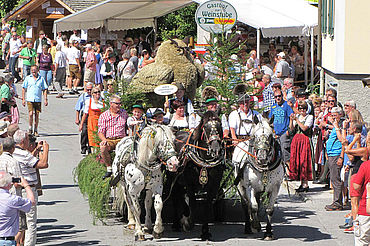 HeuART - Corso, ©TVB Abtenau 