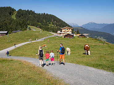 Wandern und Spielplätze Marbachjoch, (c) Bergbahnen Wildschoenau, Dabernig