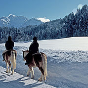 © Landhotel Strasserwirt - Mit der Natur im Einklang, im Winter reiten 