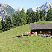 hauseigene Alm © Landhotel Gressenbauer