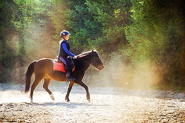 Reitschule in Österreich beim Strasserwirt