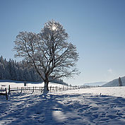 © TVB Almenland, Foto Berghofer, Wintersonne