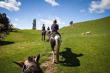 Ausritt mit dem Pferd im Pillerseetal