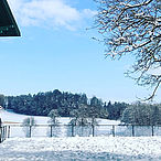 Moorhof****