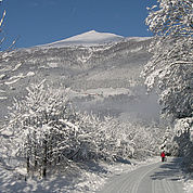 © Landhotel Stofflerwirt - Der Speiereck in St. Michael