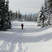 Winterwanderung © Joglland Waldheimat Zingl M. 