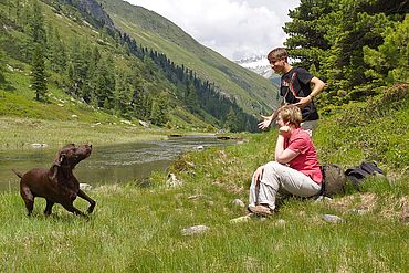 Urlaub mit Hund in Kärnten