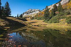 Ötscherblick Rauher Kamm, Schwarzlacke (c) Jürgen Thoma