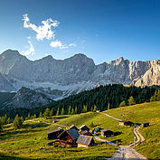 Wandern Alm Ramsau am Dachstein2 © Tom Lamm