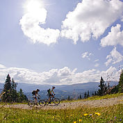 Sommer Mountainbiker © Ferienregion Lungau 