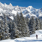 Winterlandschaft © CoenWeesjes/ TVB Filzmoos