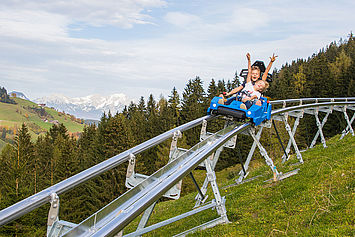 Drachenflitzer, Alpine-Coaster-Wildschönau im Sommer, Fotograf: AlexMayr, (c) Wildschönau-Tourismus