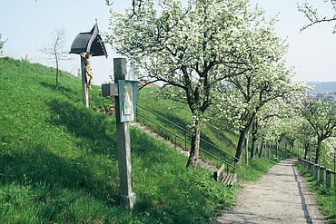 Kreuzweg © Tourismusverband Sierning 