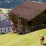 © Landhotel Tirolerhof/ Thomas Trinkl - Landschaft im Sommer 