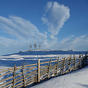 © TVB Almenland, Foto Tödtling, Bärenzaun