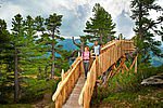 Wanderung am Zirbenweg Wanderung am Zirbenweg