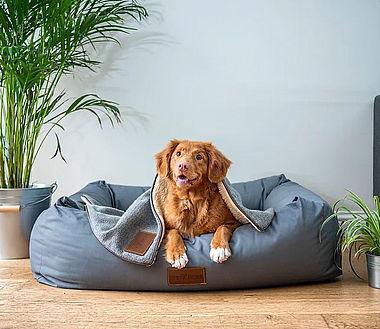 Quelle https://www.stockerwirt.net/zimmer