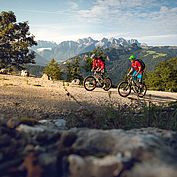 Mountainbike Salzburger Saalachtal