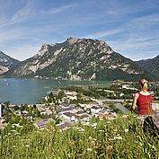 © Ferienregion Traunsee - Blick Richtung Traunsee vom Ostufer