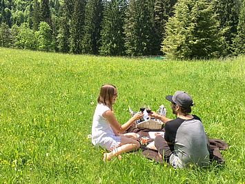 Picknick in unberührter Natur 