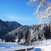 Hochmoorloipe, (c) Mostviertel Tourismus, Clemens Oelmann