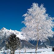 Tiroler Winterlandschaft - Steinberge