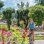 © Bad Ischl - Blick vom Siriuskogel 