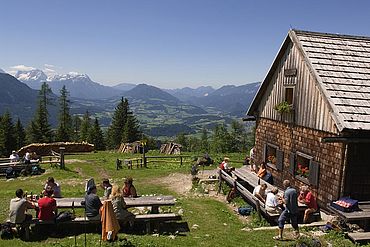 Urlaub mit Hund im Stodertal © OÖ Tourismus / Erber