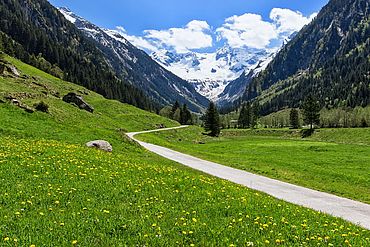 Wandern im Zillertal in Tirol