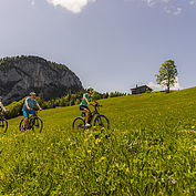 mit dem E-Bike die Landschaft genießen 