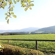 Landschaft in der Weitsicht © TV Joglland Waldheimat 