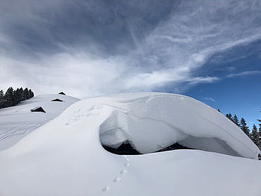 Traumhafte Winterlandschaften im Salzburger Saalachtal