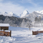 © Landhotel Gressenbauer - Winterspass Hinterstoder