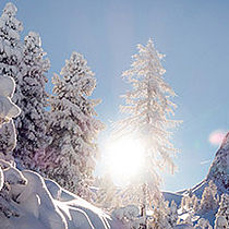 Winterurlaub - Sanft & Sport in den LANDHOTELS Österreich | ©tomklocker