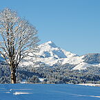 Winterlandschaft Kitzbühlerhorn Winterlandschaft Kitzbühlerhorn
